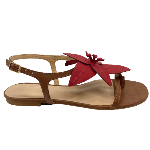 These fun, flat summer sandal/thongs are as light as a feather, have a soft flexible sole and look great with just about anything! Available in two great colour ways tan with cream flower and tan with a dull red coloured flower. Made in Brazil.